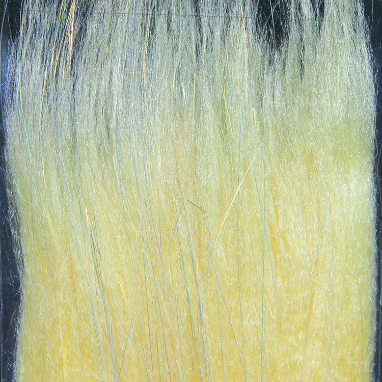 Angel Silk SHRIMP AS17