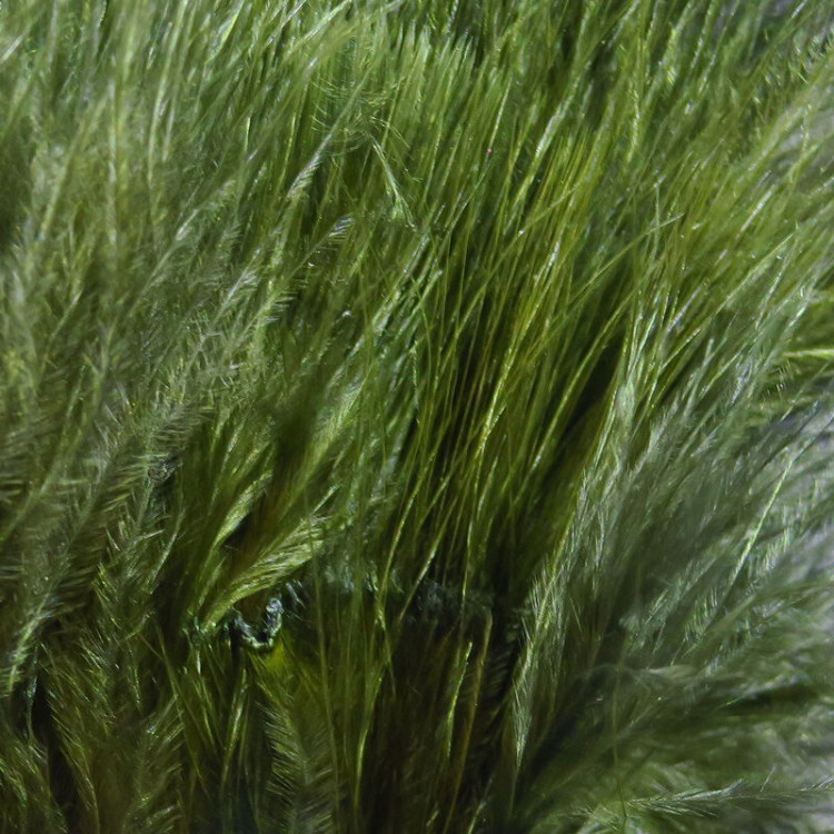 Marabou Blood Quills Dk Olive 95