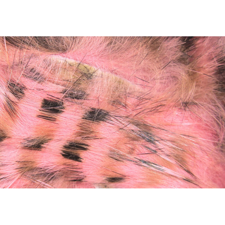 Barred Rabbit Strips Salmon Pink BRS329