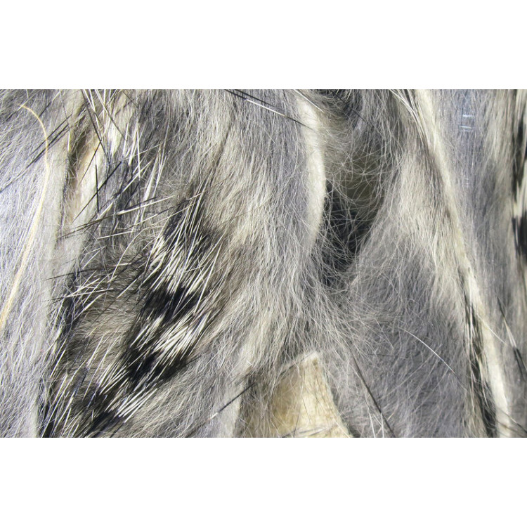 Barred Rabbit Strips Chinchilla BRS57