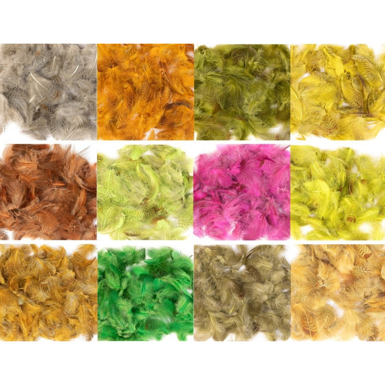 English Partridge Ginger