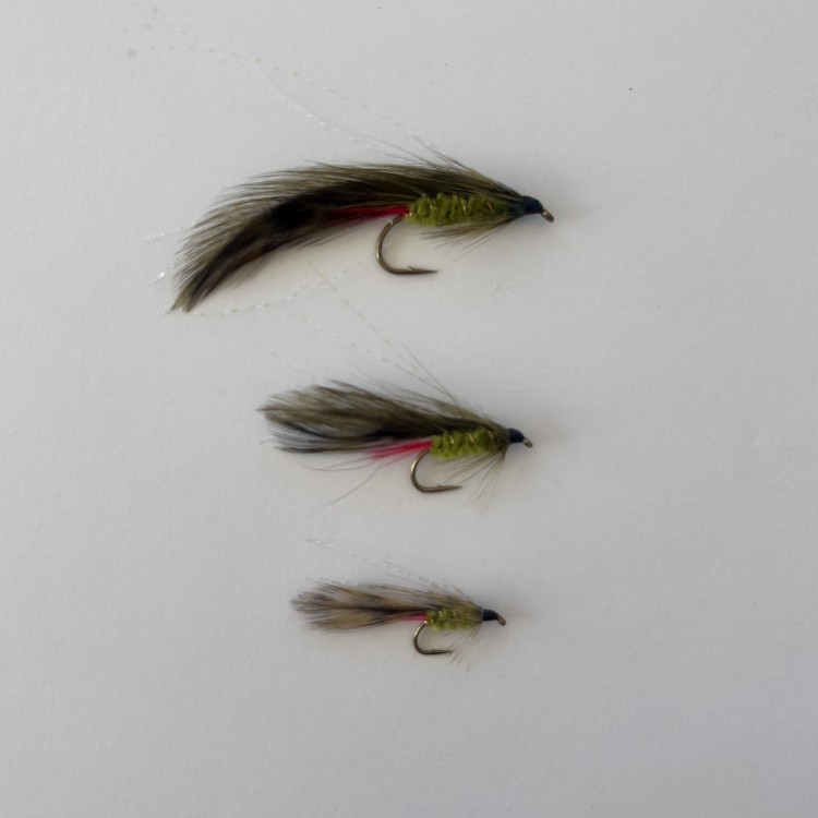 Green Orbit  Green Body