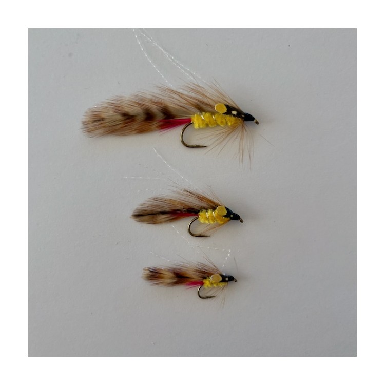 Jungle Cock Parsons Glory