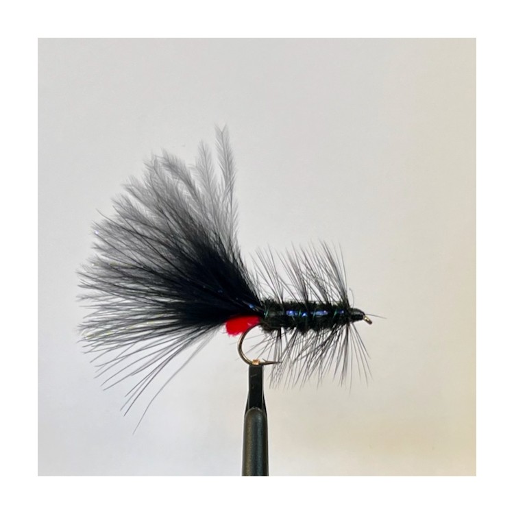 Black Woolly Bugger