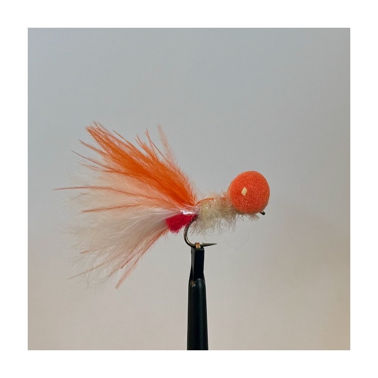 Orange / White Booby