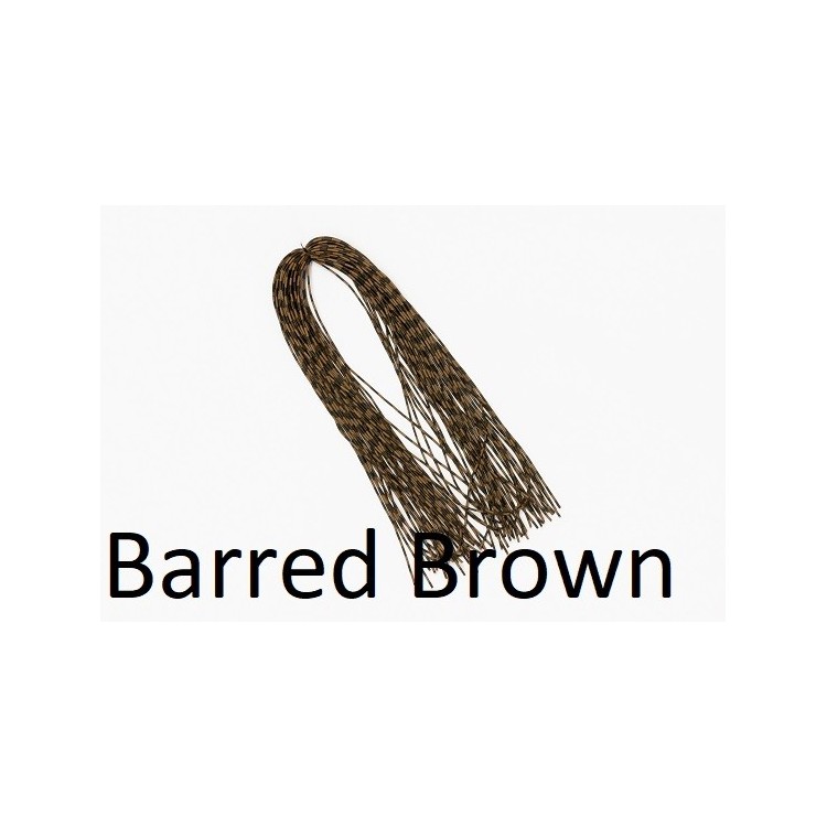 Centipede Legs Barred Brown Mini