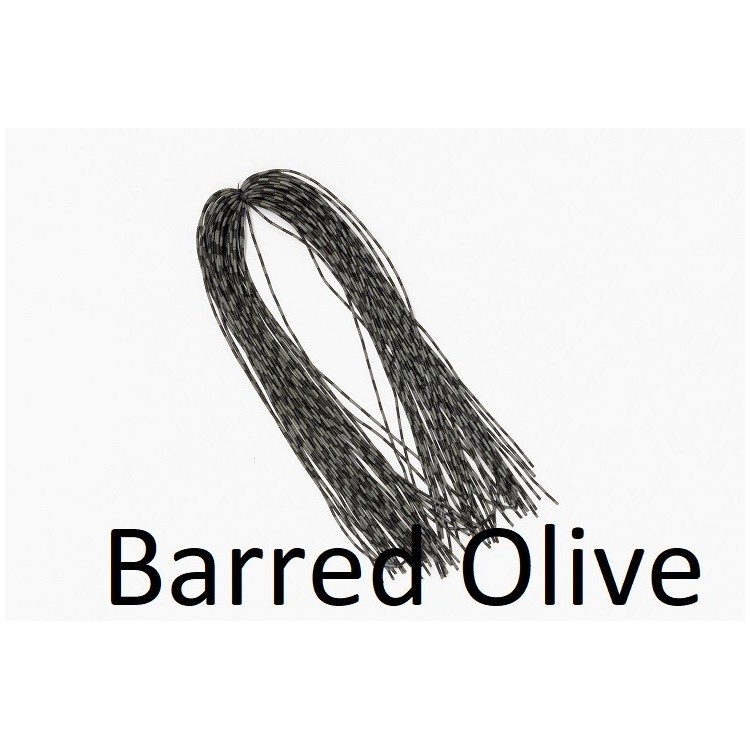 Centipede Legs Barred Olive Small