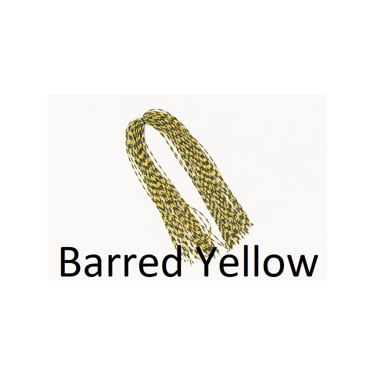 Centipede Legs Barred Yellow Small