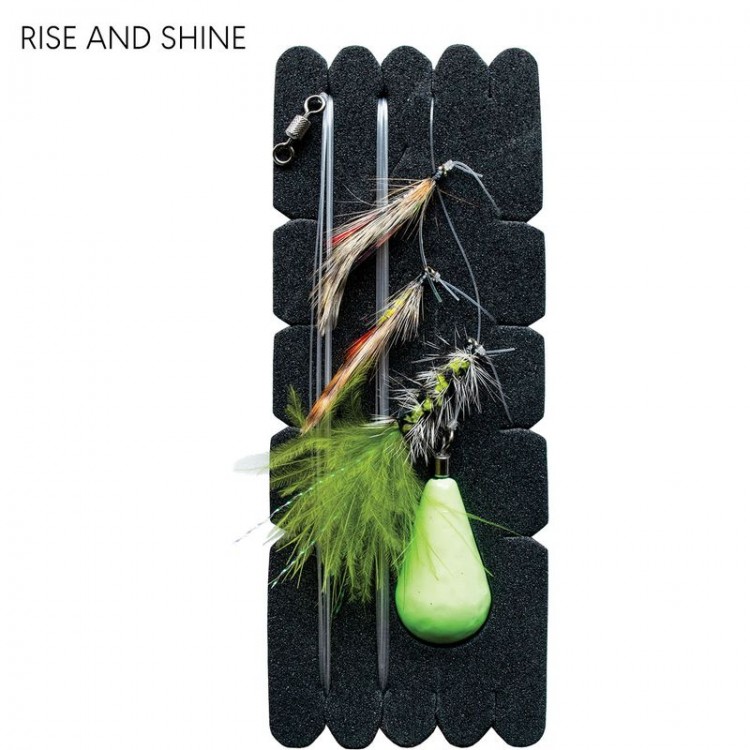 Trout Terror Rise and Shine