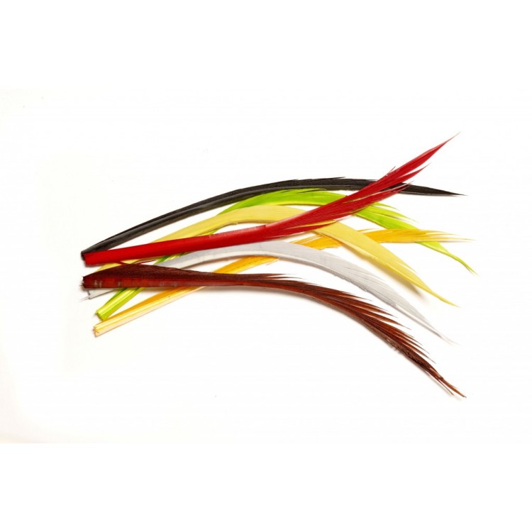 Turkey Biots Mahogany Brown