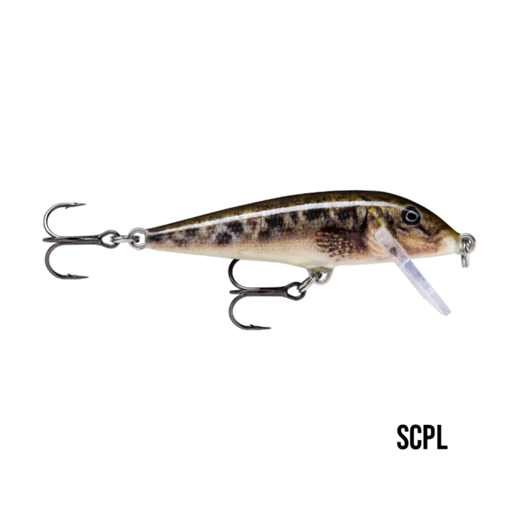 Countdown CD5 Live Sculpin