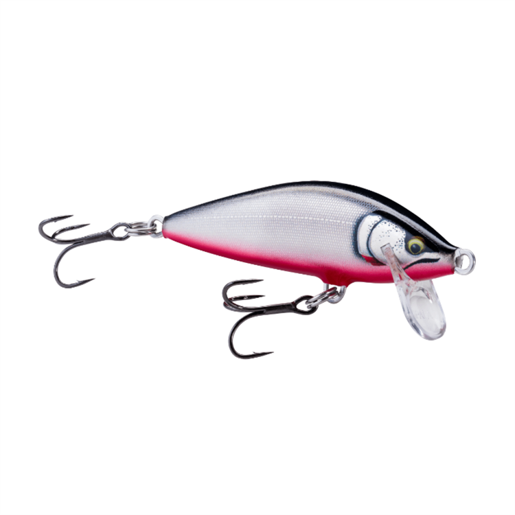 Elite Gilded 35 Red Belly